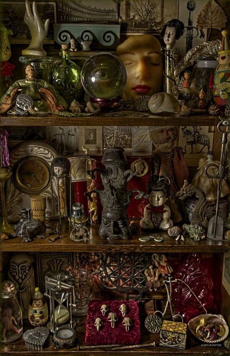 Cabinet of curiosities witch house